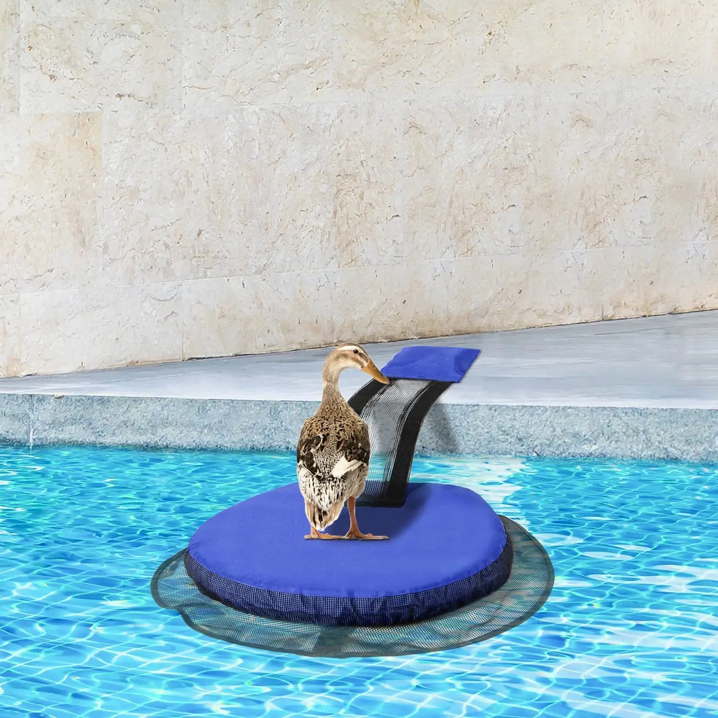 Filet d'évacuation pour petits animaux de piscine