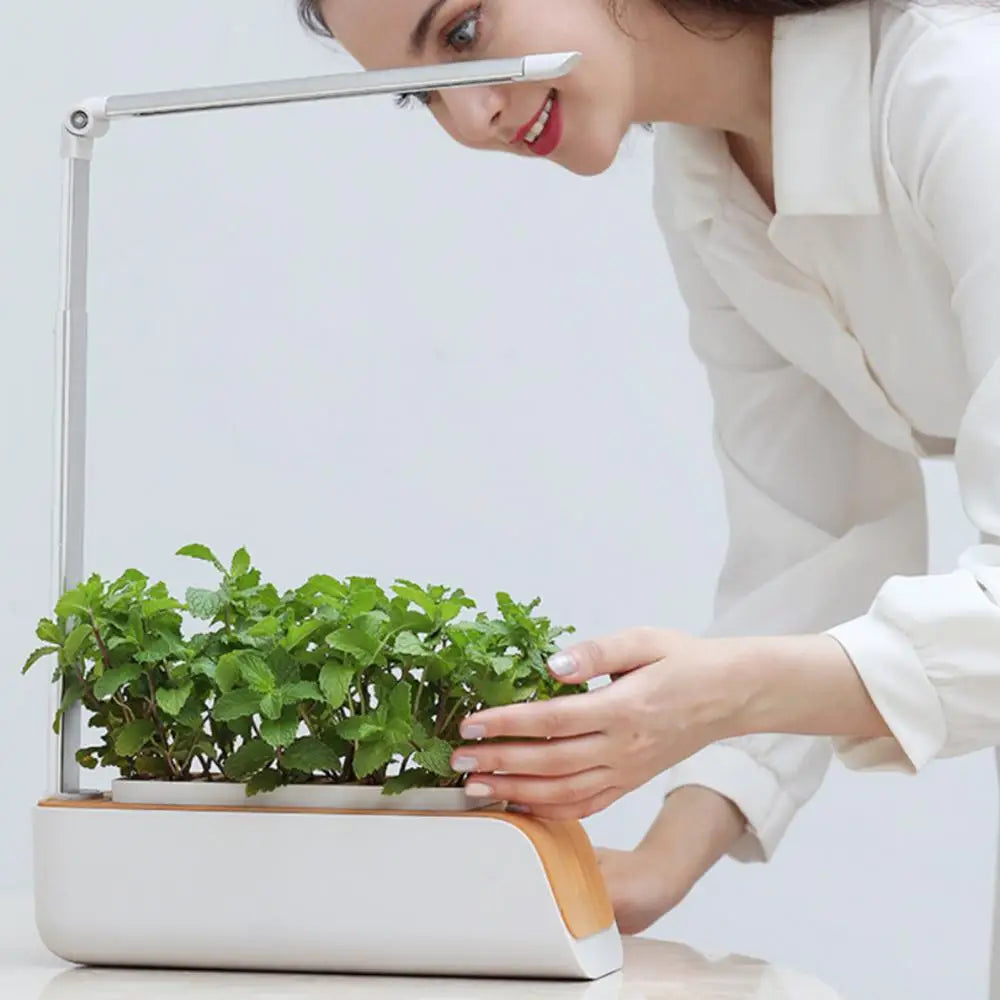 Système de culture hydroponique de jardin d'intérieur