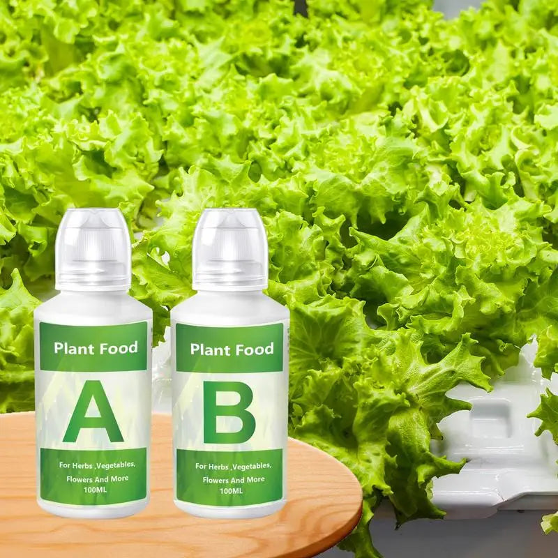 🌿 Nutriments Hydroponiques A & B – Aliments Végétaux pour Fleurs, Légumes et Fruits