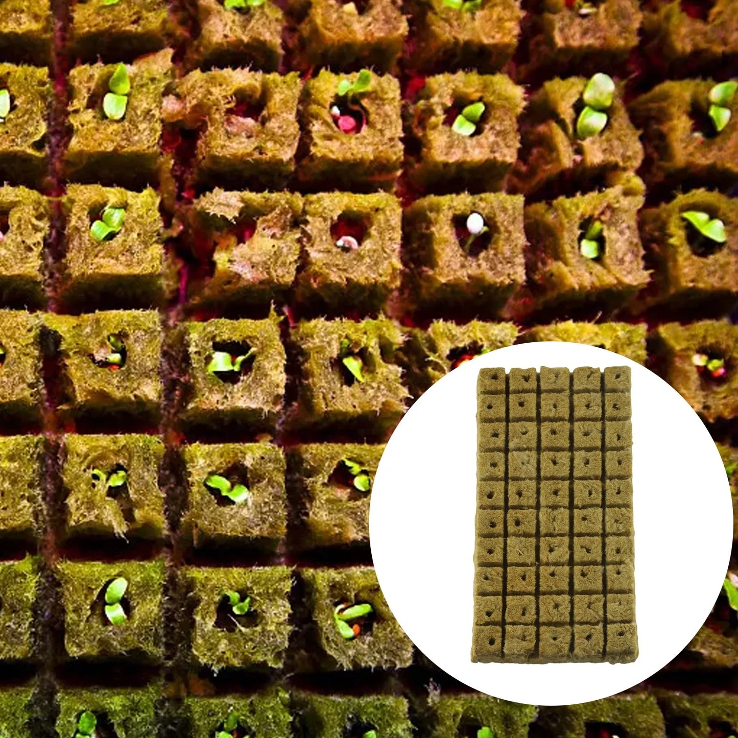 50pc Hydroponic- Sponge Block Cubes Water Soilless Cultivation Germination Pot Vegetable Culture Seedling= Planting Nursery Tool