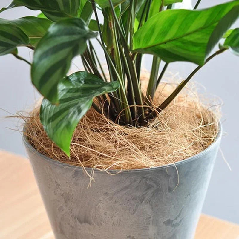 Cache-pot en fibre de coco naturelle anti-insectes pour protéger le sol des plantes et des fleurs du jardin,