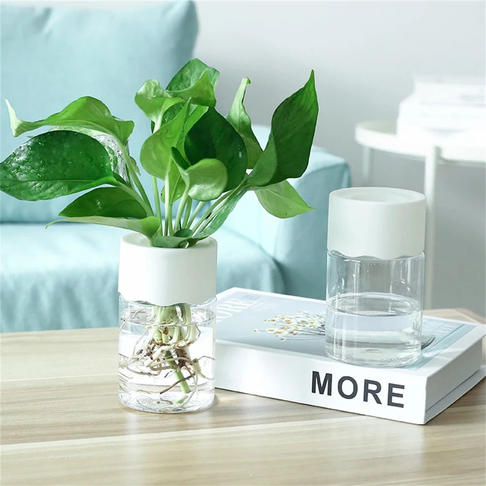 Mini Pot de Fleurs Hydroponique – Vase Décoratif Transparent pour Plantes Vertes
