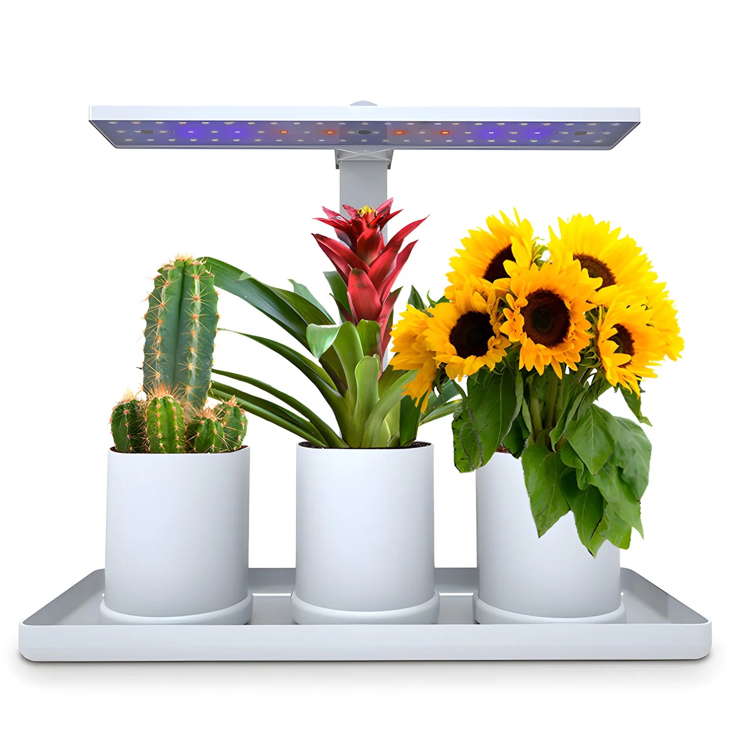 Lampe de Culture LED de Bureau – Éclairage Intelligent pour Vos Plantes d’Intérieur