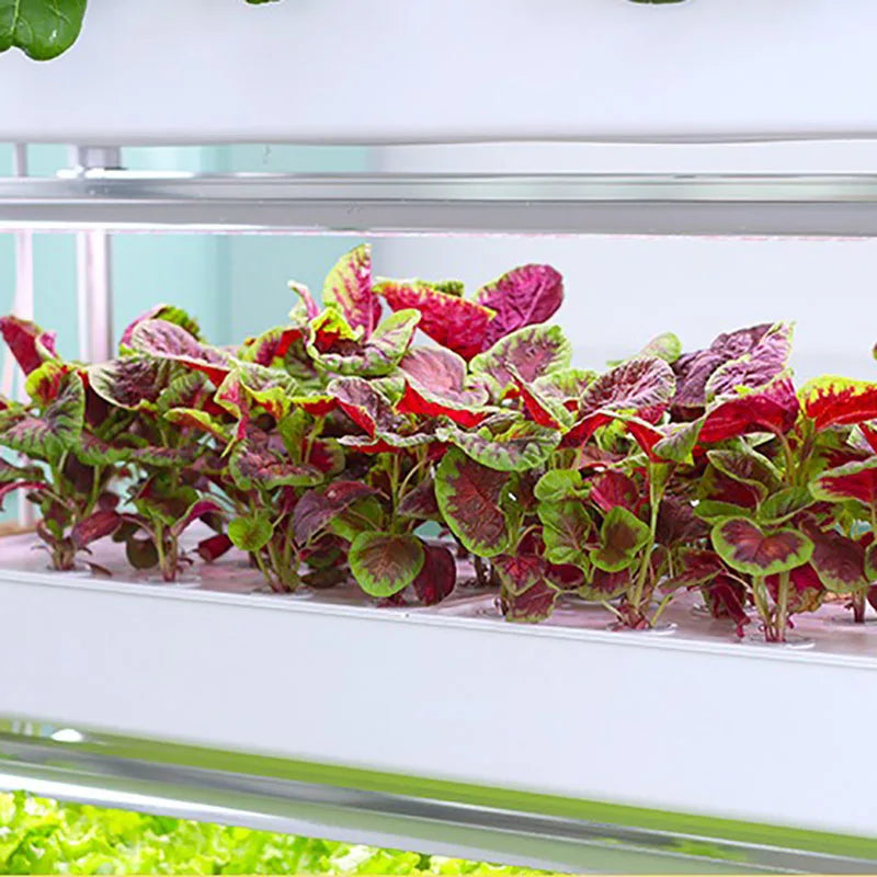 Système de culture hydroponique vertical intelligent pour culture intérieure, jardin, jardinière domestique, tour de culture de plantes