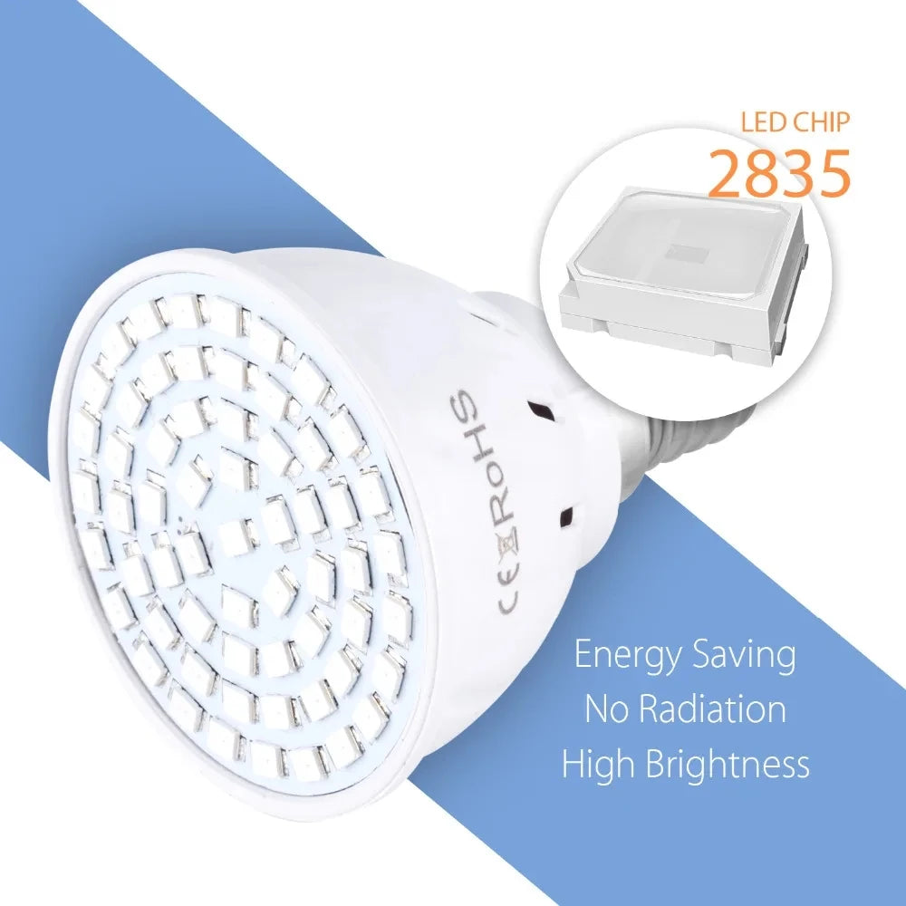 Phytolamp Lampe de croissance LED à spectre complet E27 E14 Lampe pour plantes Fitolamp pour semis d'intérieur Boîte de culture de fleurs Fitolampy