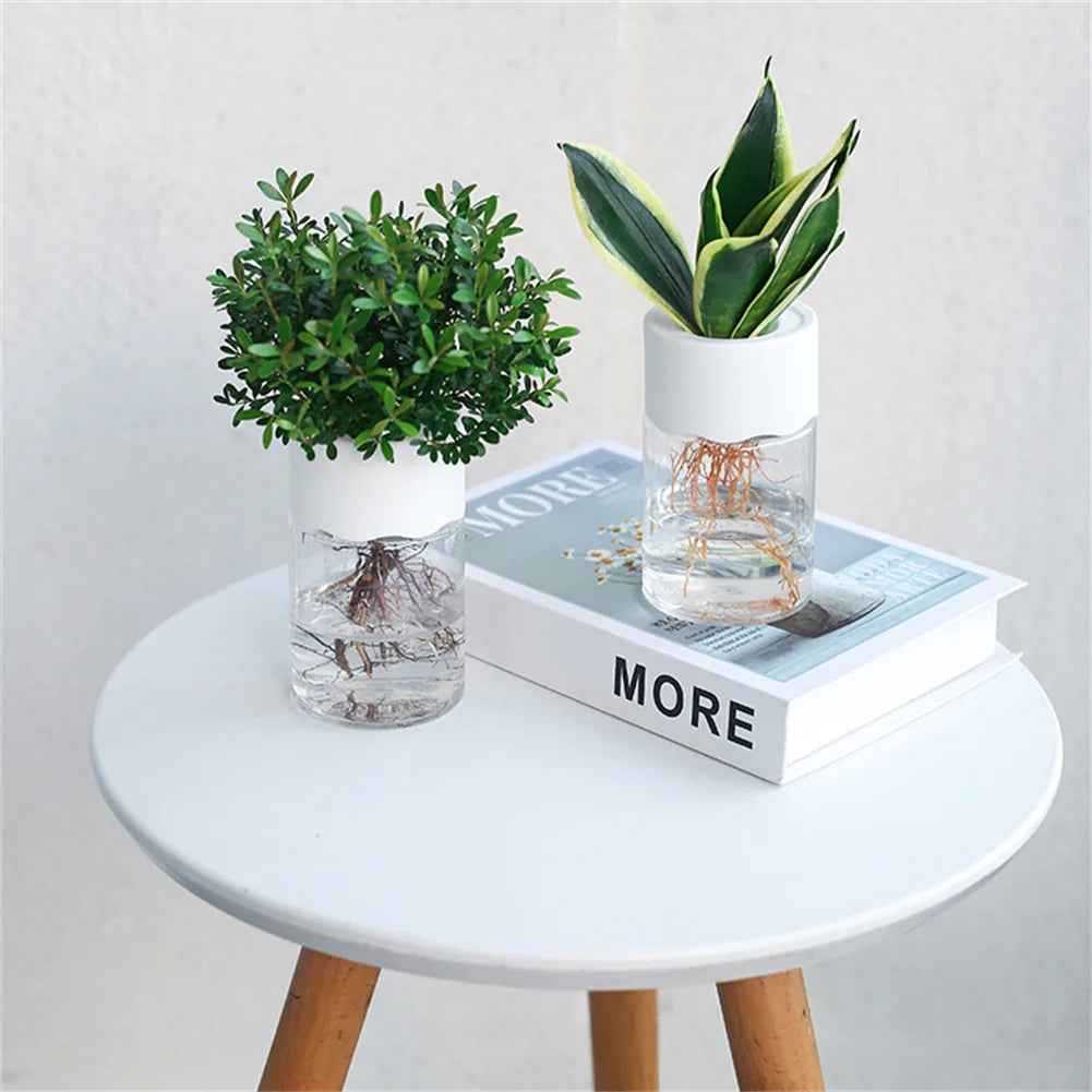 Mini Pot de Fleurs Hydroponique – Vase Décoratif Transparent pour Plantes Vertes