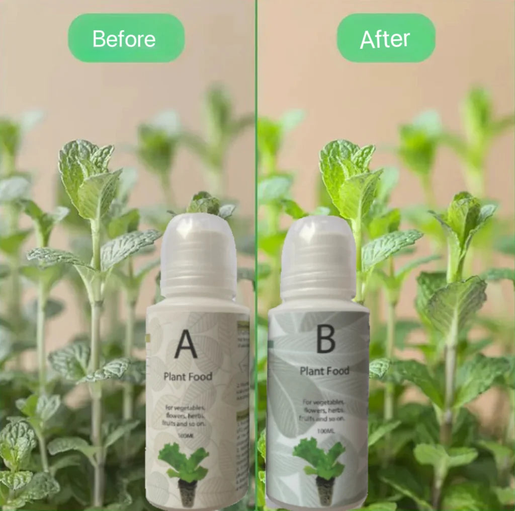 Engrais pour plantes de jardin hydroponique, formule nutritive de croissance A + B, engrais pour légumes, fruits et fleurs, 2 pièces