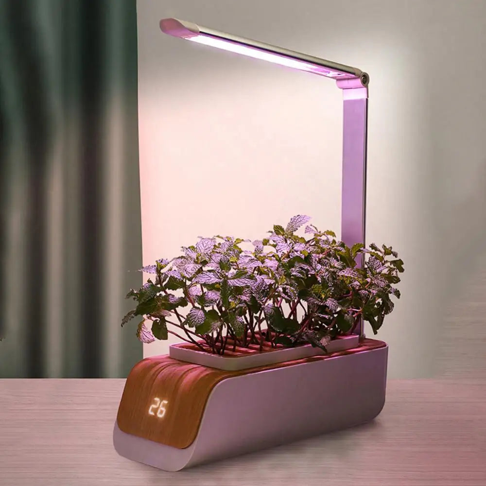 Système de culture hydroponique de jardin d'intérieur