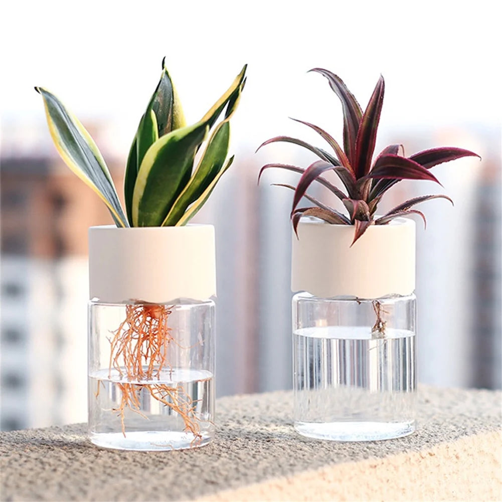 Mini Pot de Fleurs Hydroponique – Vase Décoratif Transparent pour Plantes Vertes