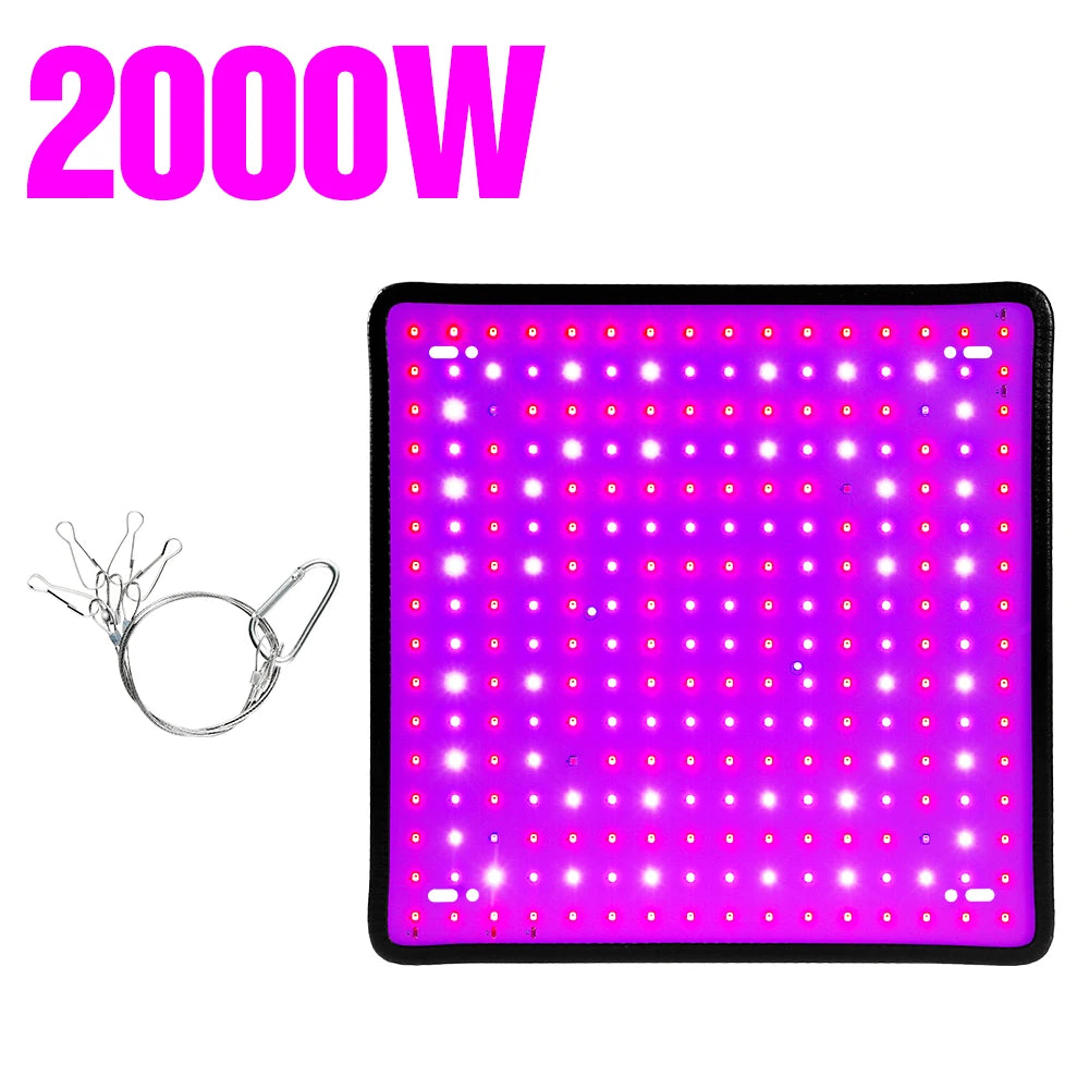 48687054160215|48687054192983|48687054225751|48687054291287
