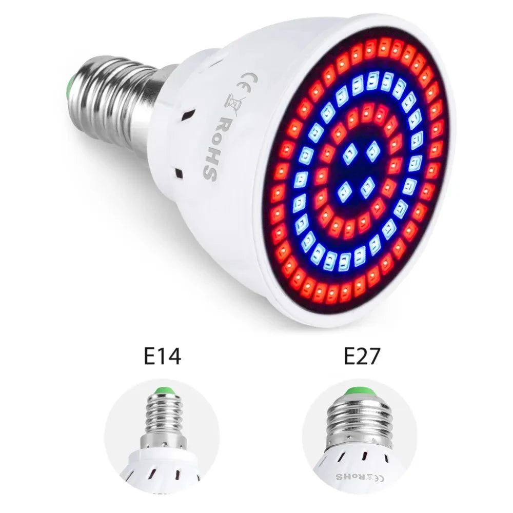 Phytolamp Lampe de croissance LED à spectre complet E27 E14 Lampe pour plantes Fitolamp pour semis d'intérieur Boîte de culture de fleurs Fitolampy