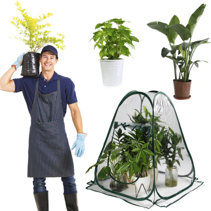Serre de jardinage domestique, Mini solarium pliable,