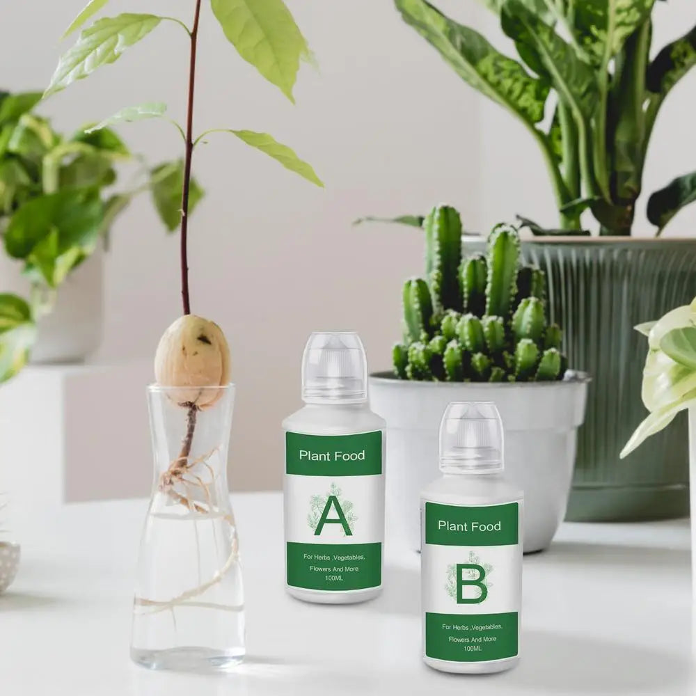 🌿 Nutriments Hydroponiques A & B – Aliments Végétaux pour Fleurs, Légumes et Fruits