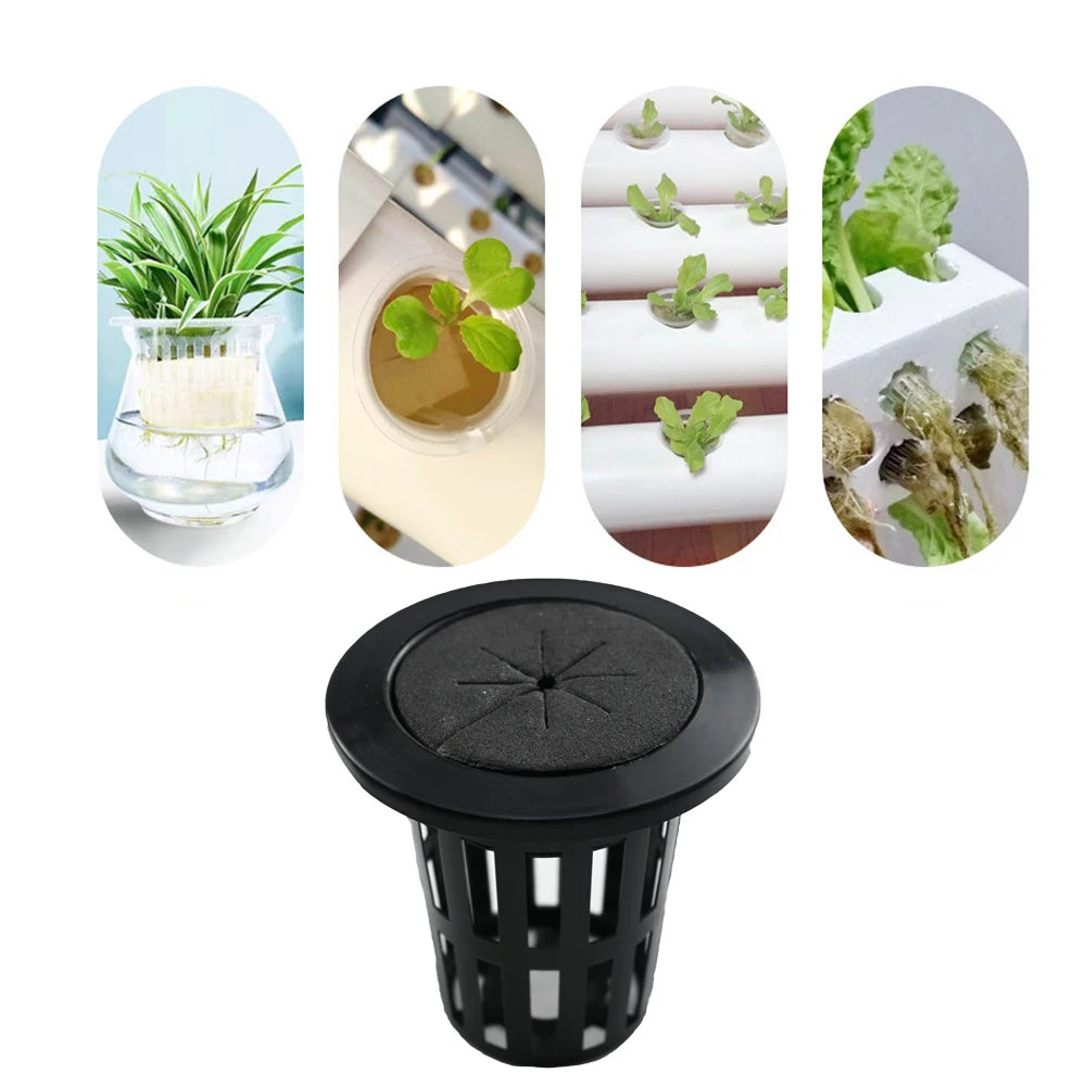 Lot de 15 paniers hydroponiques avec éponge – Culture hors sol efficace