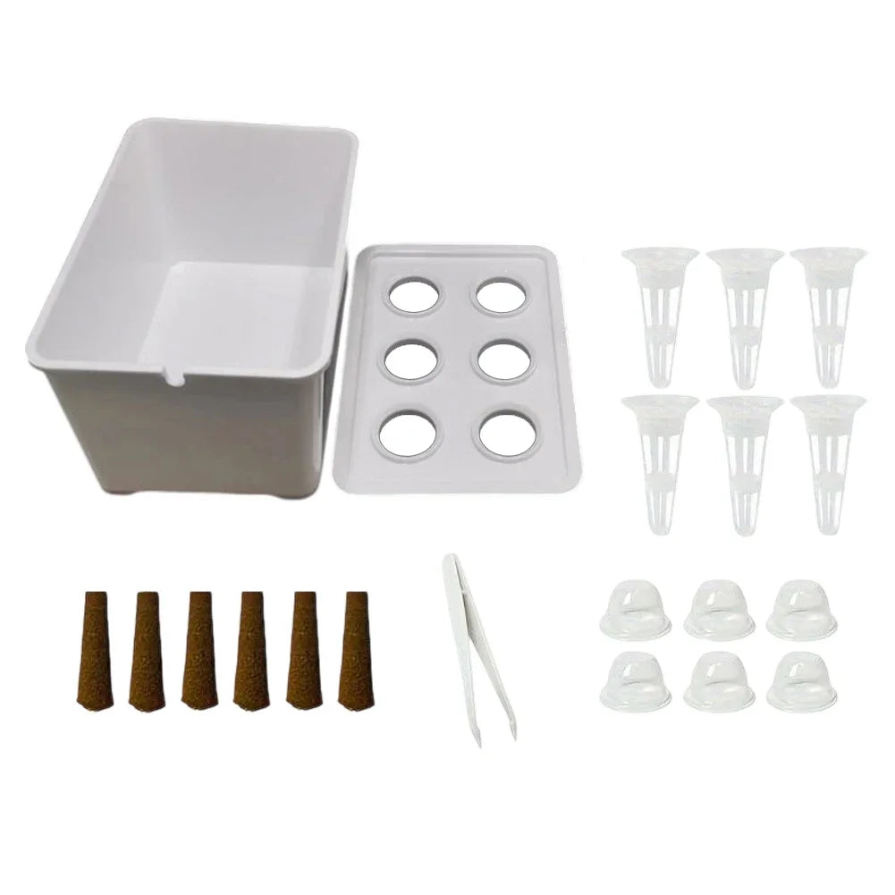 Mini Système Hydroponique