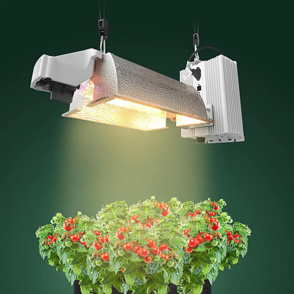 Suspension d'éclairage – Illuminez votre intérieur avec style