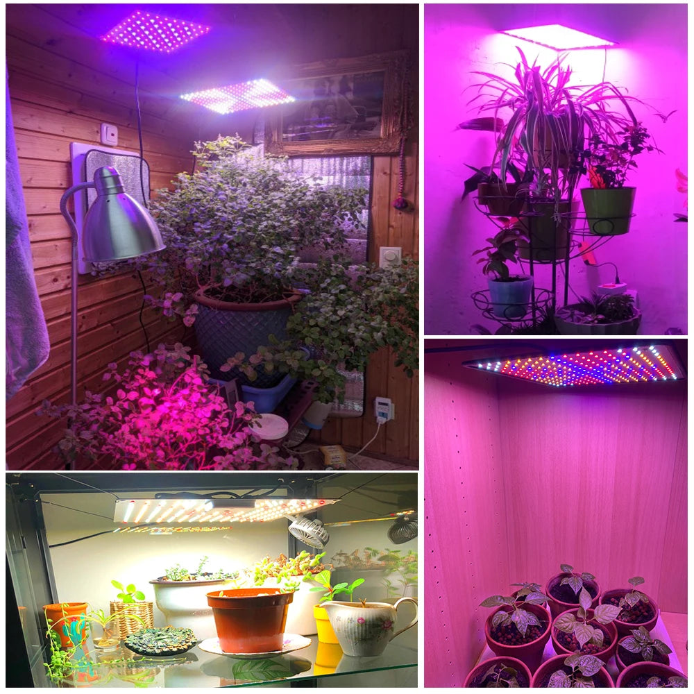 Lampe de Culture LED Ultra Fine pour Hydroponie : Eclairage Performant et Économique pour vos Cultures