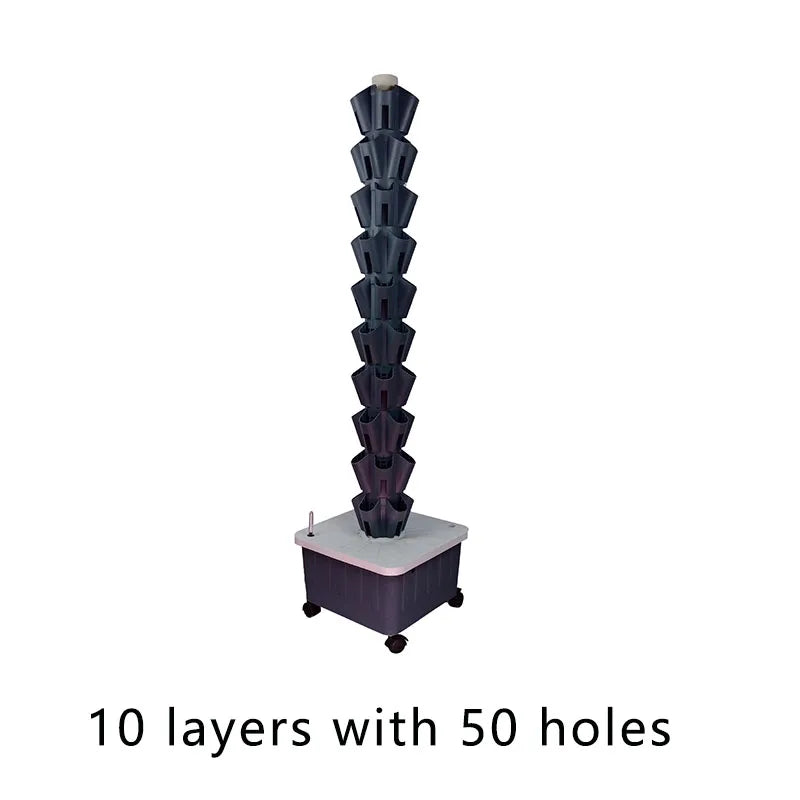 48659506200919