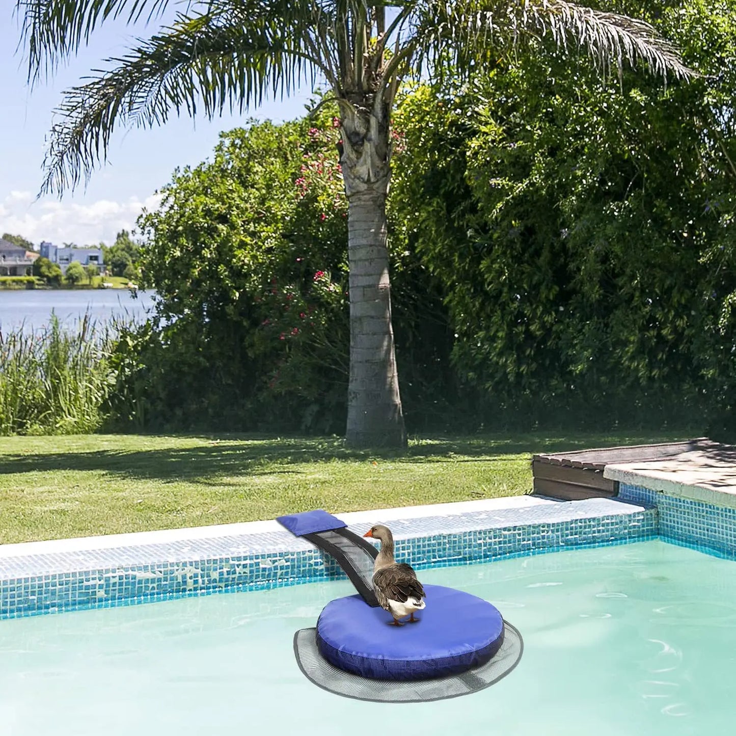 Filet d'évacuation pour petits animaux de piscine