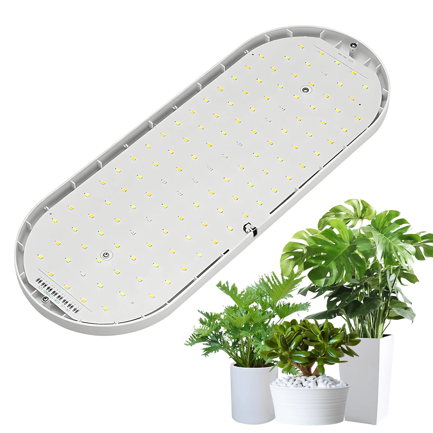 Lampe de Croissance LED à Spectre Complet – Un Éclairage Puissant pour des Plantes en Pleine Santé