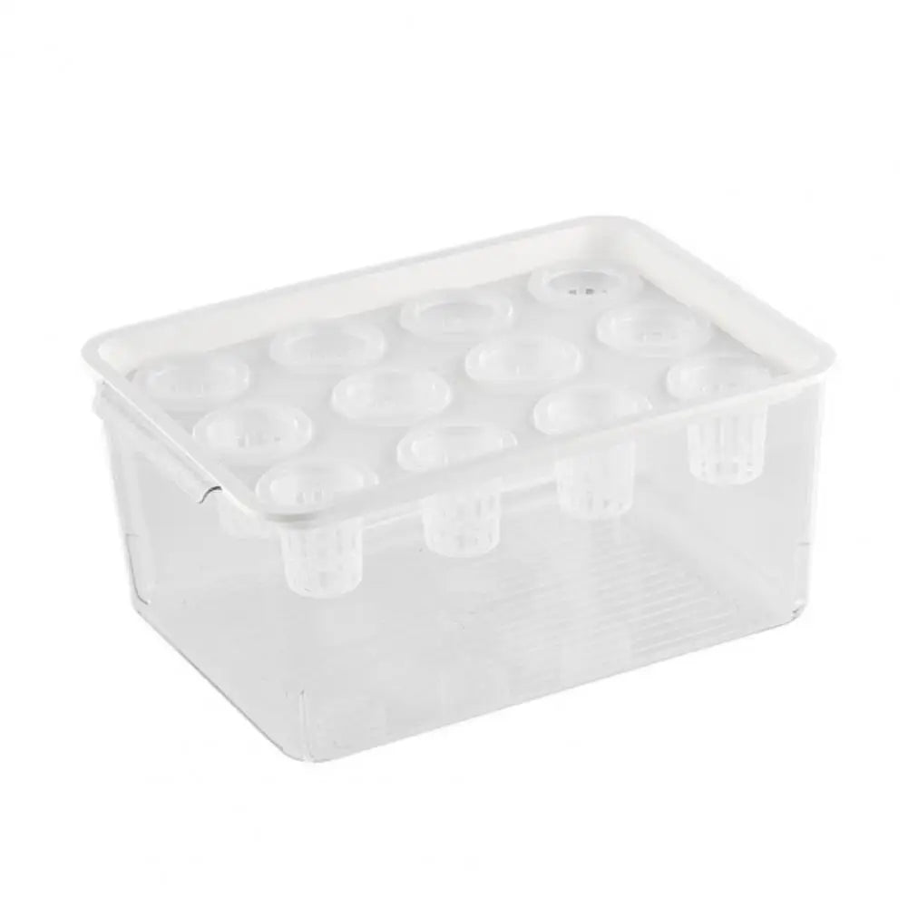 Jardinière Hydroponique Rectangulaire Transparente – 12 Trous avec Couvercle et Poignée, Facile à Nettoyer