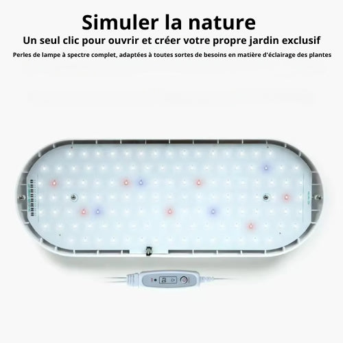 ParaGrow Y96A –Kit Système Hydroponique DWC LED à Spectre Complet
