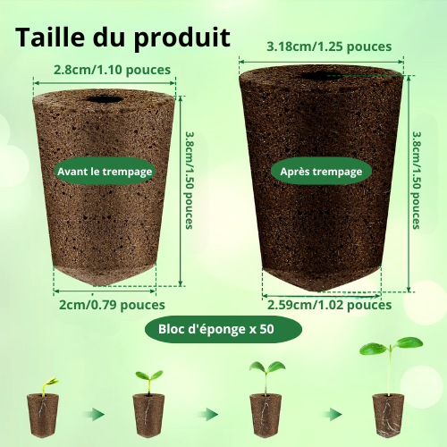 Lot de 50/100 éponges de démarrage de semences Kit d'éponges hydroponiques professionnelles écologiques