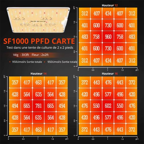 Kit Hydroponique Spider Farmer SF1000D LED + Tente 60x60x140CM avec Filtre à Charbon