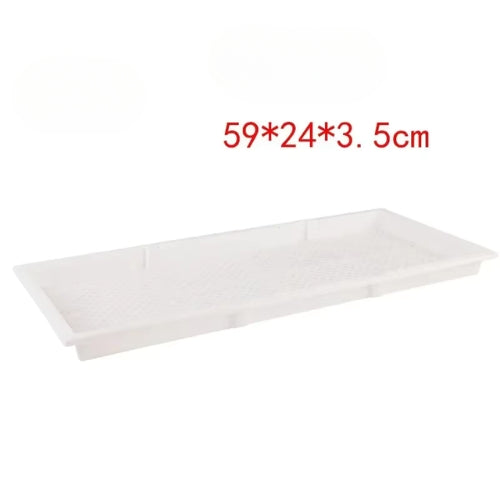 WhiteSprout – Plateau de Semis Blanc pour une Germination Réussie