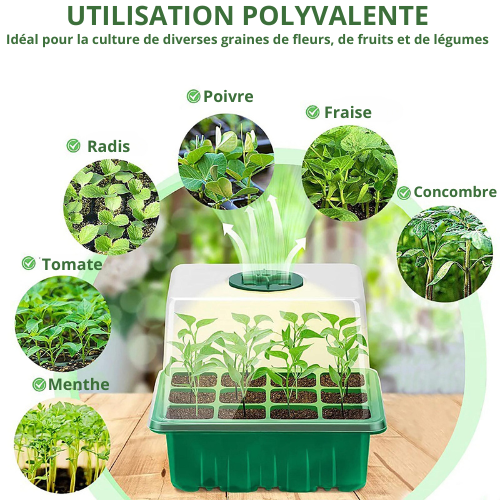 Plateau de culture avec lumière de croissance