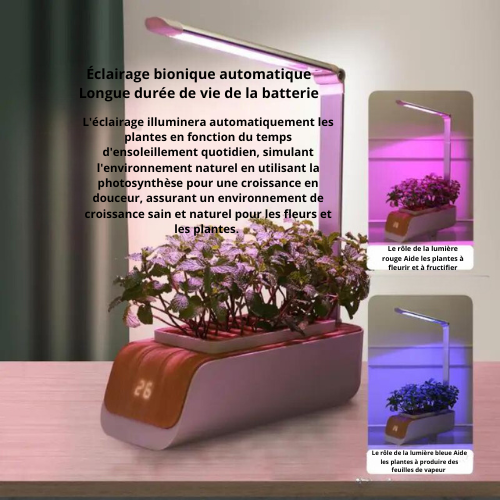 Système de culture hydroponique de jardin d'intérieur