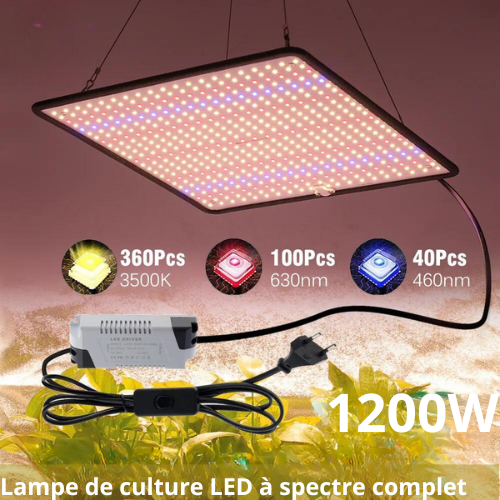 LED élèvent la lampe Phyto à spectre complet