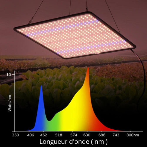 LED élèvent la lampe Phyto à spectre complet