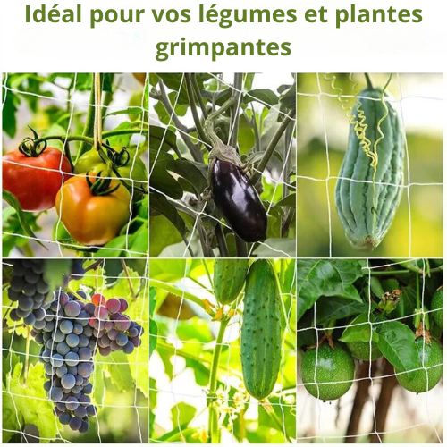 Filet de jardin hydroponique pour plantes multi-usages en Polyester