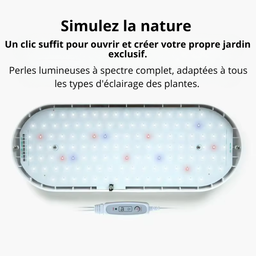 ParaGrow Y96A – Système Hydroponique DWC LED à Spectre Complet