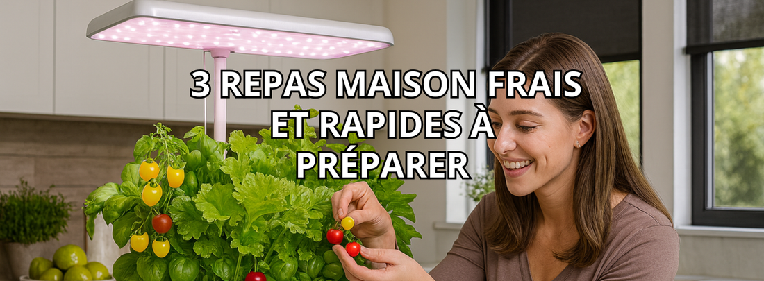 Système hydroponique : 3 repas maison rapides et frais à préparer avec vos récoltes Garden Paradisiac