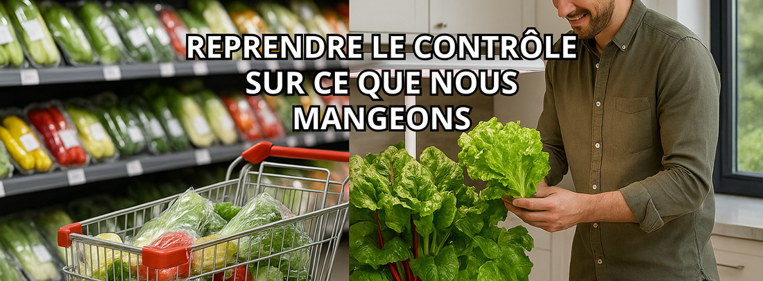 Système hydroponique : reprenez le contrôle sur votre alimentation avec Garden Paradisiac