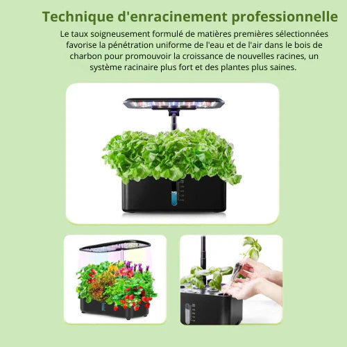 Kit de Solution d'Engrais Liquide Hydroponique A et B pour la Culture des Fleurs,  Légumes, Fruits