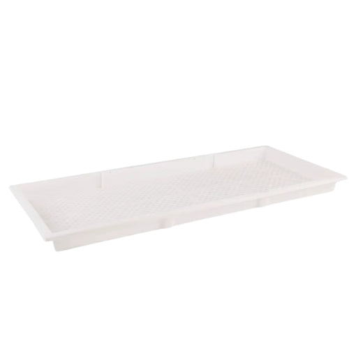 WhiteSprout – Plateau de Semis Blanc pour une Germination Réussie