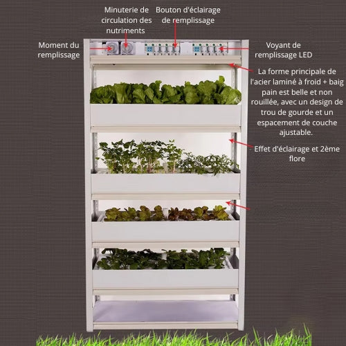 Système de Culture Hydroponique Intérieur : Serre Verticale, Potager Intelligent et Écologique