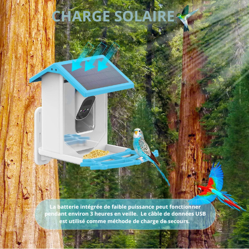 Mangeoire  pour oiseaux intelligente avec caméra solaire