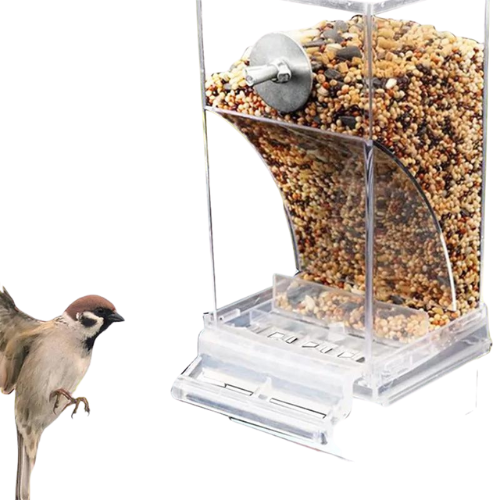 Mangeoires automatiques pour oiseaux