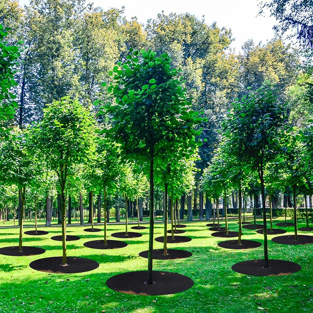 Anneaux de paillis d'arbre Multifonction, 10 pièces