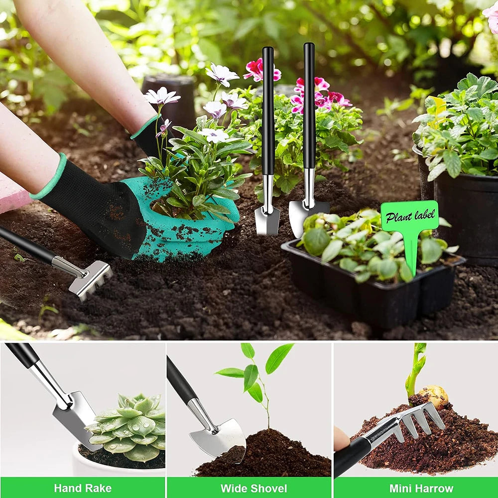 Mini-Kit de jardinage