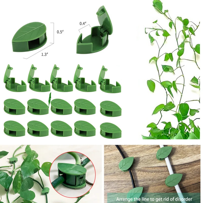 Clips de fixation murale invisibles pour plantes grimpantes,