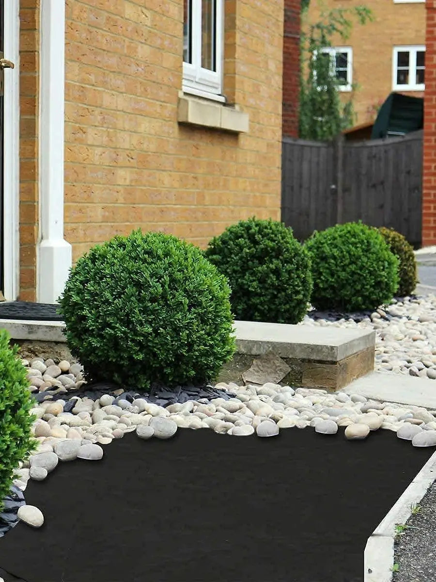 Tissu de Paillage Écologique Ultra-résistant