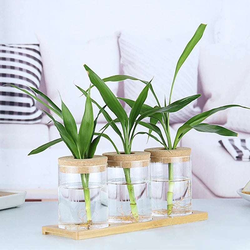 Bouteille en verre avec bouchon en bois, Vase à fleurs rond