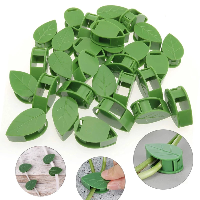 Clips de fixation murale invisibles pour plantes grimpantes,