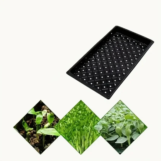 A2 GermiTray – Plateau de Germination Renforcé pour Semis et Micro-Verdure