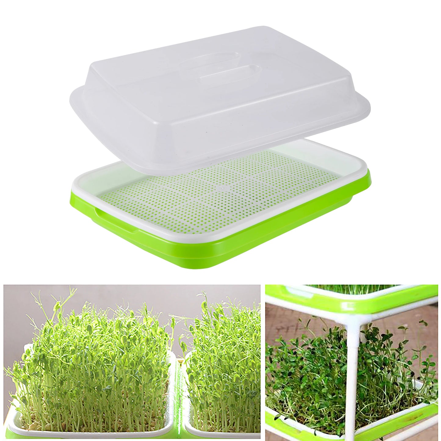 Plateau de Germination – L’outil idéal pour vos semis hydroponiques (Copie)
